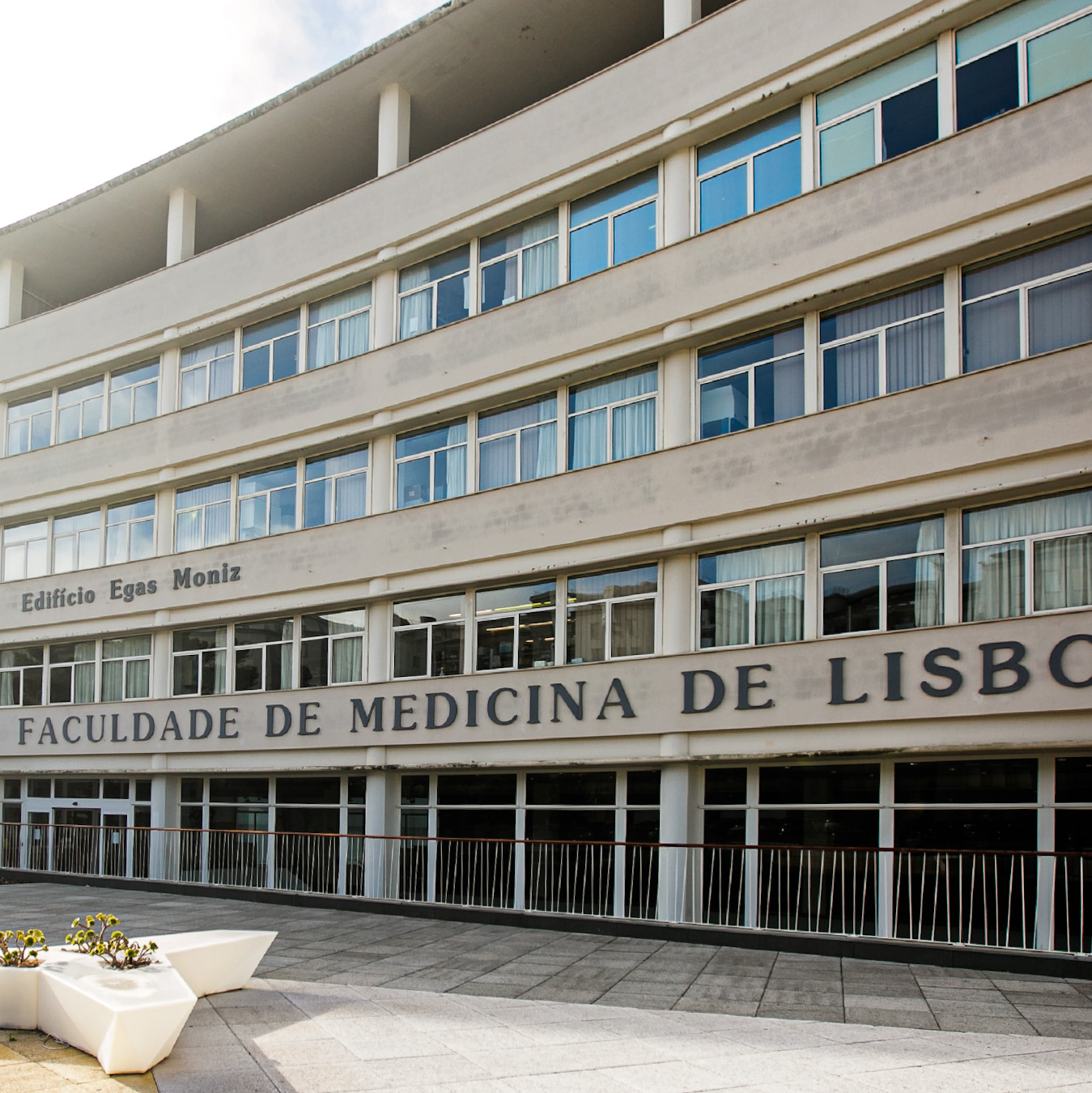 Instituto de Formação Avançada da Faculdade de Medicina de Lisboa
